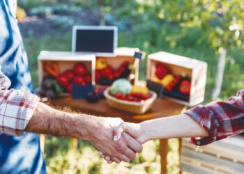 El agregado de valor: principal desafío de los elaboradores de productos orgánicos