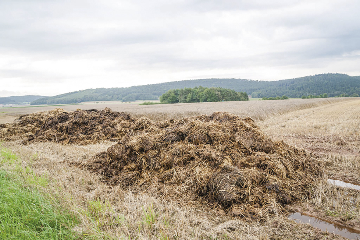 Residuos vegetales dejados en los campos (abono verde), estiércol del ganado o compost para mejorar la calidad del suelo.