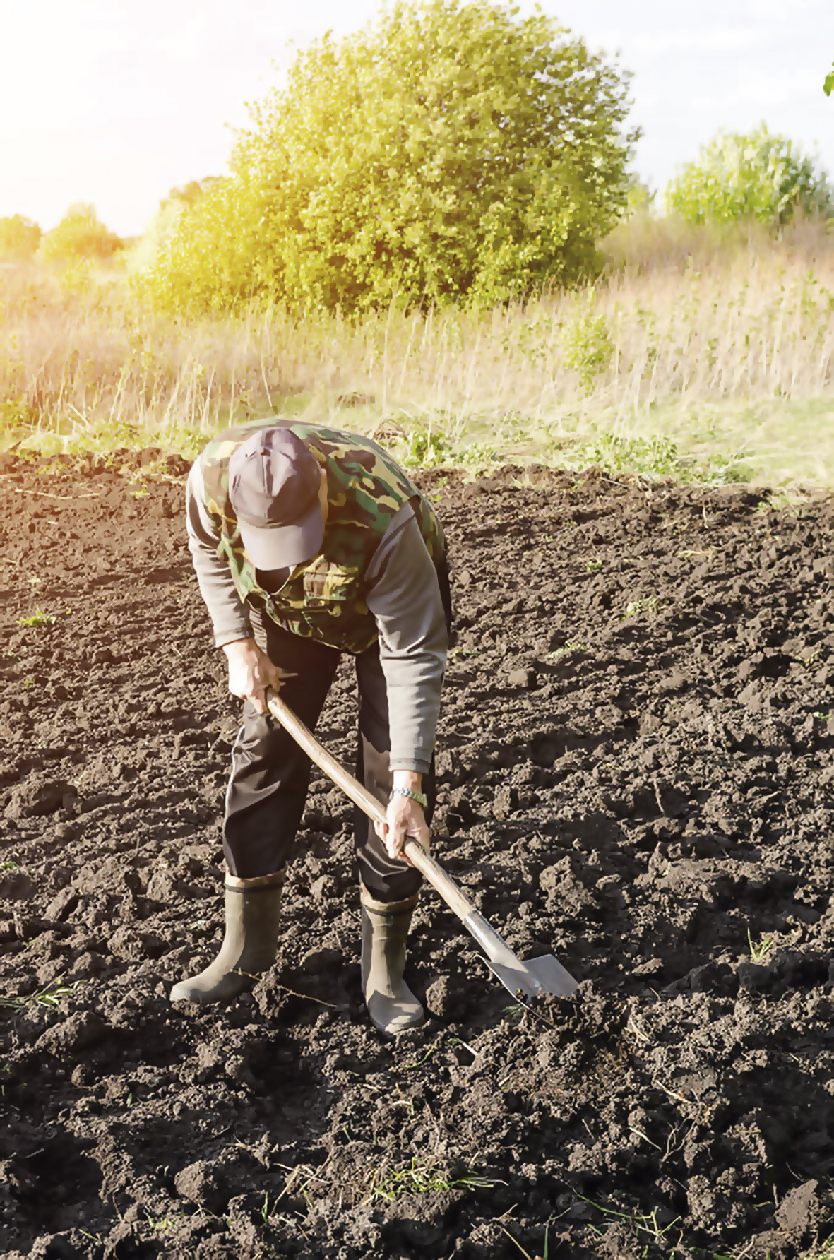 Cultivos de cobertura que impidan la erosión del suelo cuando las parcelas de tierra no están en uso y arar el suelo para mejorar su calidad.