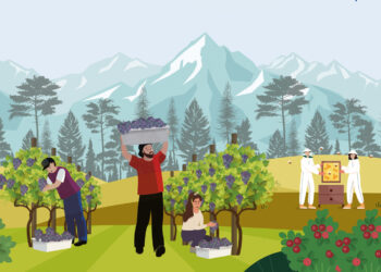 Acuerdo Chile – U.E. sobre el comercio de productos orgánicos