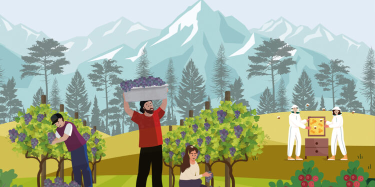 Acuerdo Chile – U.E. sobre el comercio de productos orgánicos