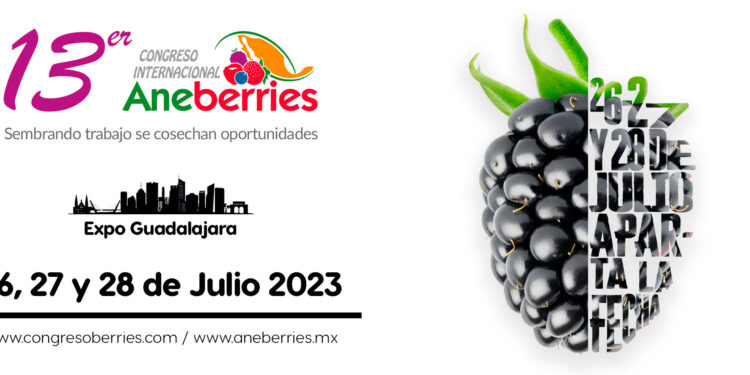 Congreso Internacional AneBerries 2023