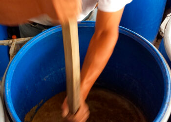 Cómo elaborar un Supermagro, el “súper” biofertilizante más elegido en producción orgánica