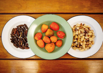 Sorvetes Bárbaros, la heladería que utiliza ingredientes de la Amazonia brasileña