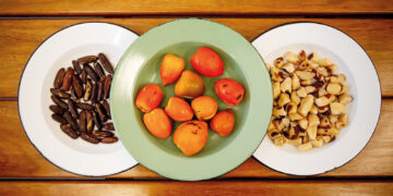 Sorvetes Bárbaros, la heladería que utiliza ingredientes de la Amazonia brasileña