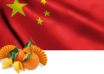 Mandarinas frescas en China