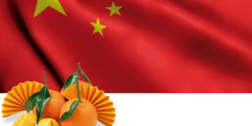 Mandarinas frescas en China