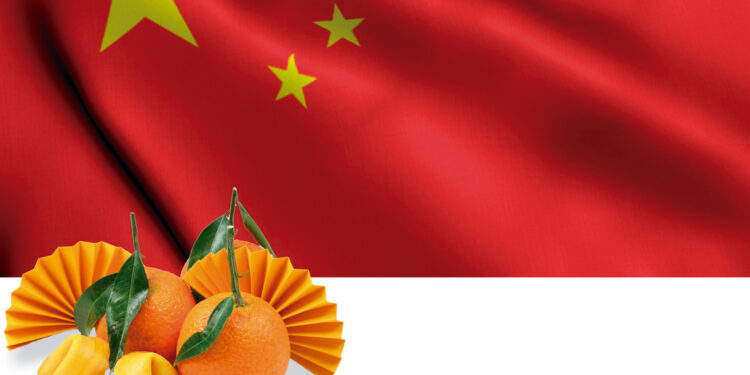 Mandarinas frescas en China