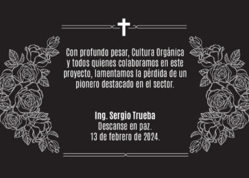 In Memoriam: Ing. Sergio Trueba