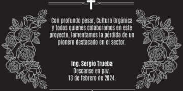 In Memoriam: Ing. Sergio Trueba