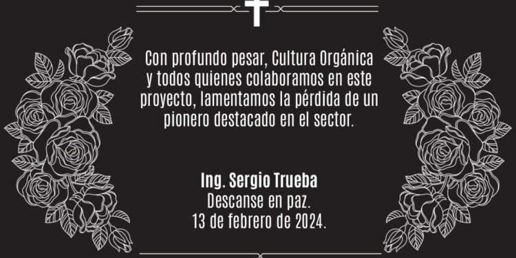 In Memoriam: Ing. Sergio Trueba