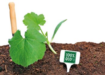 Actualizaciones clave de la normativa NOP SOE