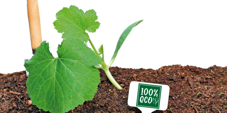 Actualizaciones clave de la normativa NOP SOE