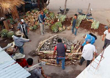 Estudiantes de Chapingo llevan la producción de mezcal a otro nivel