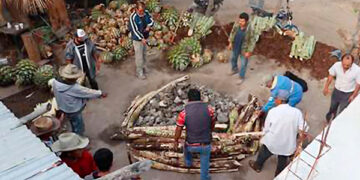 Estudiantes de Chapingo llevan la producción de mezcal a otro nivel