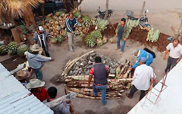 Estudiantes de Chapingo llevan la producción de mezcal a otro nivel