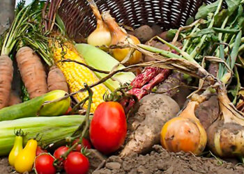 El mercado de los alimentos orgánicos