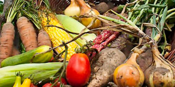 El mercado de los alimentos orgánicos