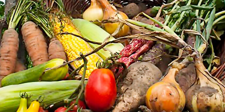 El mercado de los alimentos orgánicos