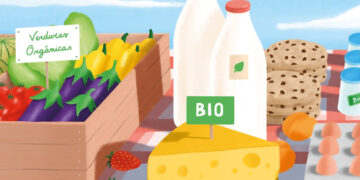 Productos orgánicos, un mercado que demanda color y transparencia