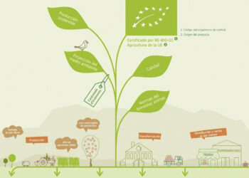 Certificación orgánica europea: Impactos del cambio en la regulación