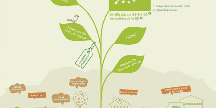 Certificación orgánica europea: Impactos del cambio en la regulación