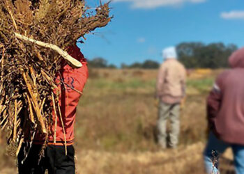Campo Vivo lanza nuevos productos orgánicos y refuerza su compromiso con el campo mexicano y la sociedad.