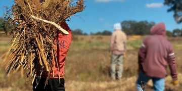 Campo Vivo lanza nuevos productos orgánicos y refuerza su compromiso con el campo mexicano y la sociedad.