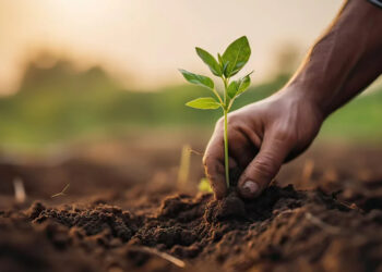 Refuerzo de la legislación orgánica (SOE): 7 cambios clave antes de la fecha límite 2024