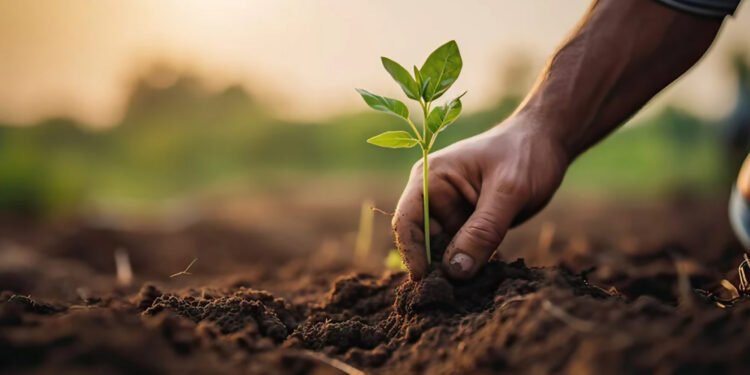 Refuerzo de la legislación orgánica (SOE): 7 cambios clave antes de la fecha límite 2024