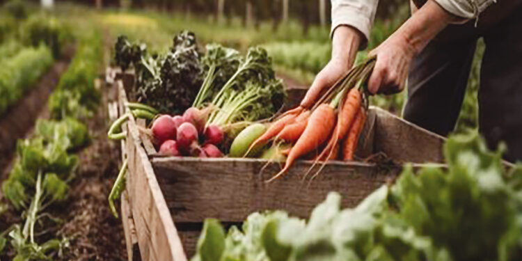 El futuro de los alimentos orgánicos en el mundo