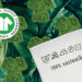 Una solución más verde y orgánica en la industria textil
