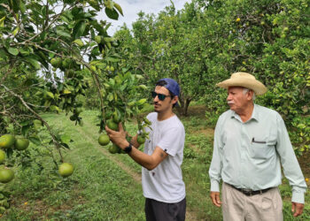 México impulsa la producción orgánica en 2025, Campo Vivo se posiciona como líder
