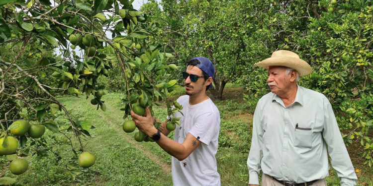 México impulsa la producción orgánica en 2025, Campo Vivo se posiciona como líder