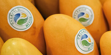 Producción de alimentos orgánicos mantiene dinamismo en México