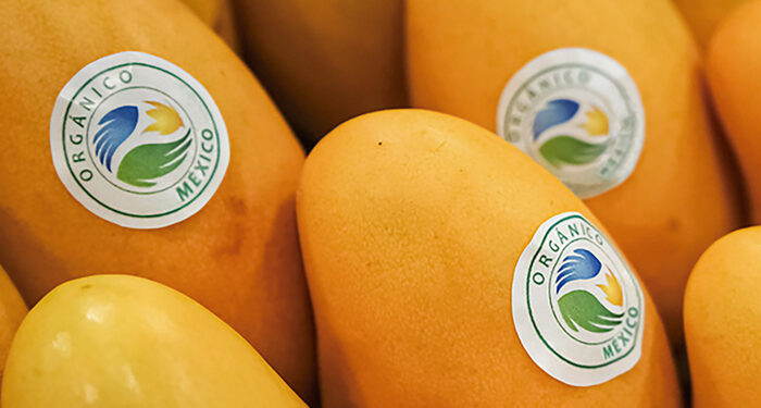 Producción de alimentos orgánicos mantiene dinamismo en México
