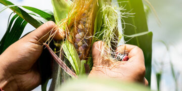 Impulsar el consumo local, clave ante desafíos comerciales internacionales