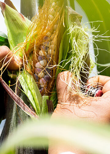 Impulsar el consumo local, clave ante desafíos comerciales internacionales