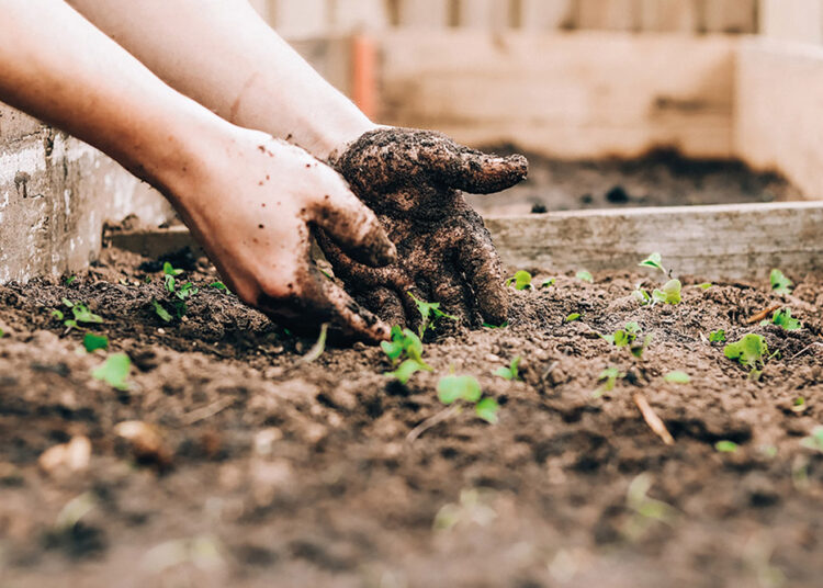 Entrevista con Mili Romano, cofundadora y CEO de Vexxel