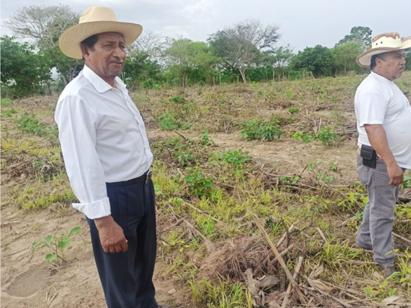 Suelo erosionado por prácticas convencionales