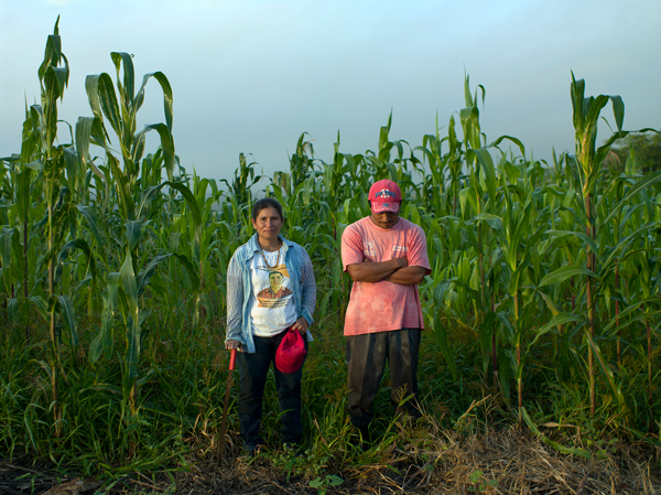 Productores de la región Mixteca Alta, Oaxaca