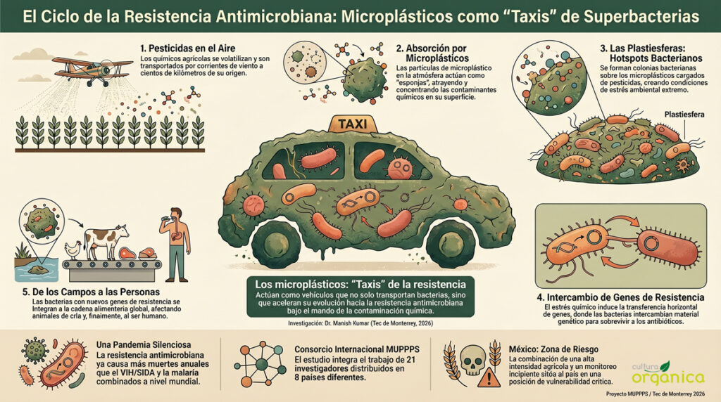 Infografía El Ciclo de la Resistencia Antimicrobiana Proyecto MUPPPS Tec de Monterrey