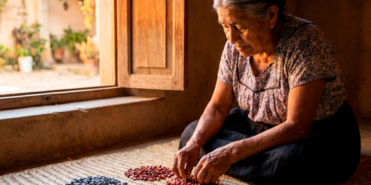 Guardiana de semillas en la Sierra Norte de Oaxaca