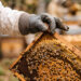 Apicultor revisa un marco cubierto de abejas y panal en un apiario mexicano. México cerró 2025 con una producción récord de 60,297 toneladas de miel.